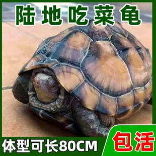 []