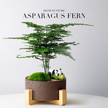 ��Ʒ����С�����k�����������ֲ���҃��辰�����ļ����B�����՚�
