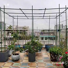 ���Ѽ���ͥԺ�������ټܺ��J�ܽz�ϰ�����ܷN��ֲ������֧�ΗU