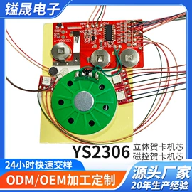 玩具配件;集成电路;电子模块