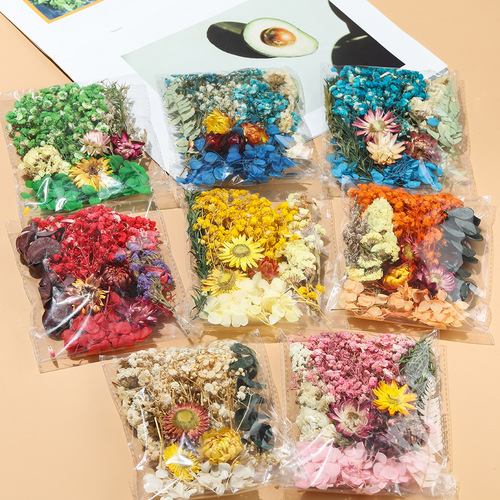 Dry Flower Fan DIY Everlasting Flower Material Kit DIY Picture Frame Sticker Floating Mother's Day Flower Arranging Class Bagged Flower Materials