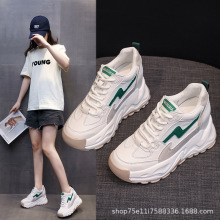 ϵЬŮins2024¿ٴe\Ь͸׃ŮЬ