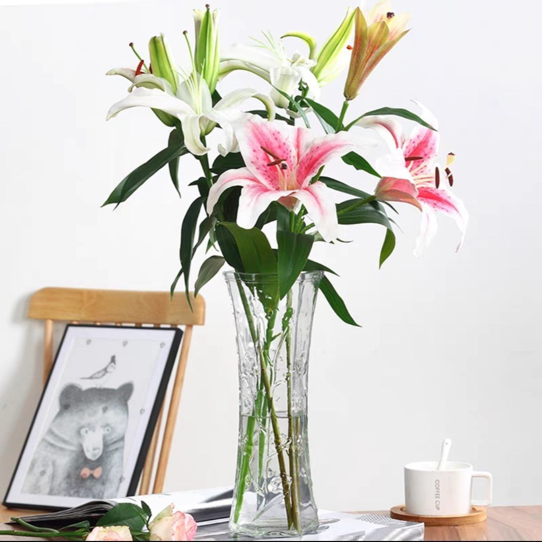 Vaso de gran tamaño de vidrio transparente decoración de sala de estar gran calibre de flores hidroponía rica bambú grueso rosa de bambú