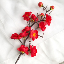 ÷��֦�һ�֦���� �b�Ʒ�b�������Ʒ10֧