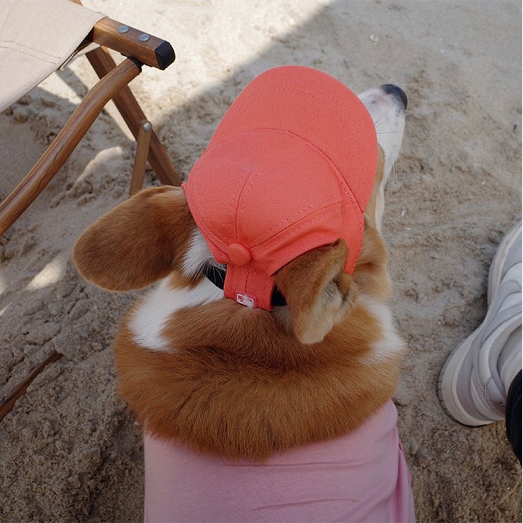 Mascotas salen, protector solar, enfriamiento, fotos, sombrero para el sol de la marca Corgi Trendy, sombrero de perro de peluche ajustable para perros al aire libre