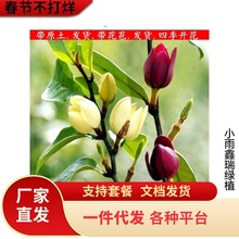 һlЦ̨҃ͥԺԴϷļ_