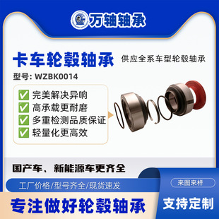 Truck Wheel Hub Bearing F-566425/F-800792/F-579266/F-568947/F-579266