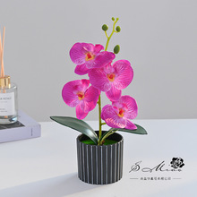 ���滨�����m�辰�S��ֱ������ֲ���[���҃��bٻ���������