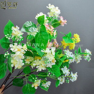 �¿���滨�ѻ�鱘仨�羳���Q�������l��c���·���Ҿ��bٻ�