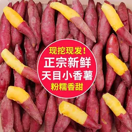 传统糕点;面筋制品;饼干