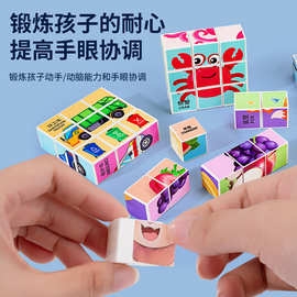 磁力方块拼图早教益智动物积木卡通六面画立体霸王龙拼图儿童玩具