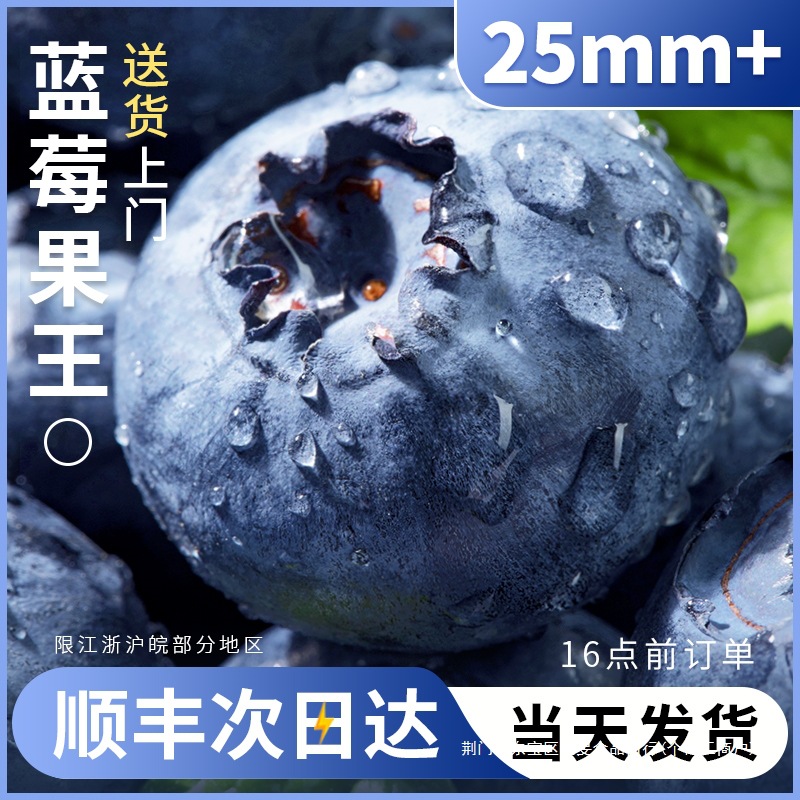 云南蓝莓鲜果新鲜高端水果当季怡颗高山L25花香孕妇整箱包邮顺丰