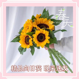 ����r�����տ��滨�廨���[�ؔ����l�������˻��ֱ�l�r�����