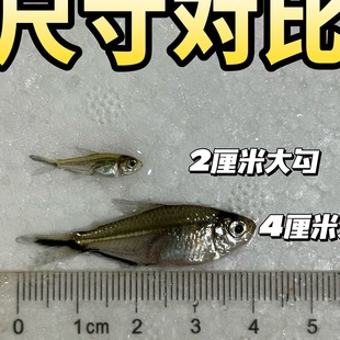 �Ꭷ�~�ݸ�Ⱥ���~��β���~Ⱥ���^�p�~�Ꭷ�~�쾰���B���w�����~