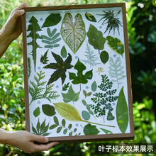 ?~˱ֲɻѺ~Ӹɲ~ճNֹdiy