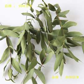 天然干树叶真树叶标本干花diy手工装饰材料包植物书签压花幼儿园