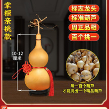 ��Ȼ���J�������J���Ї��Y�����_���T���T�͏d���P�[����̖����