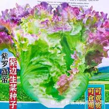 ��ˮ�����˷N�����~���˷N�������͟Ό���ó��ļ��̨ͥԺ�߲���