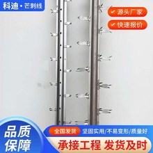 â�̾��o늳��m��ꎘO���ܠ�RS���Xâ�̾�늕����~��â�̾�