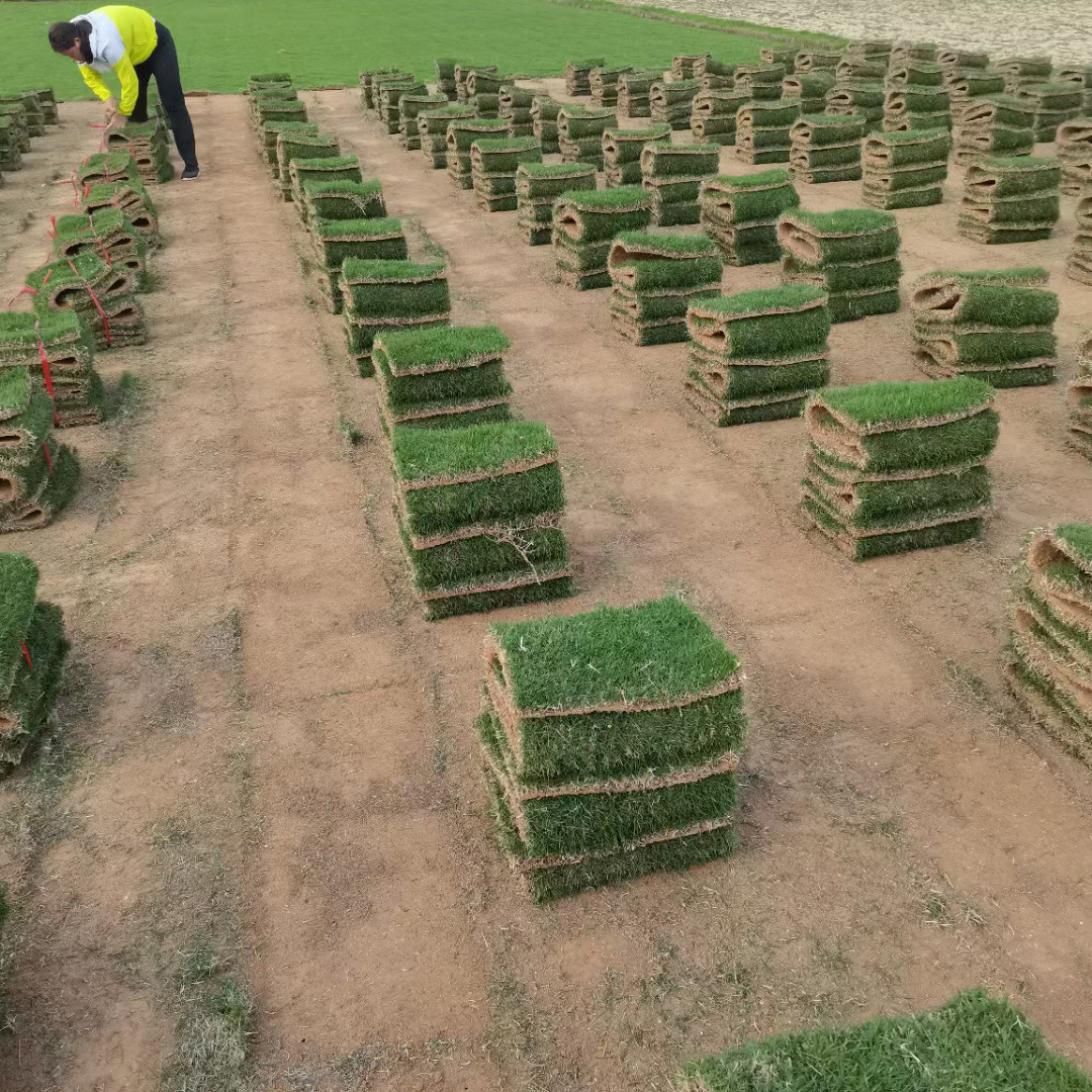 caf29ffe14ba594fdf8828244ee207