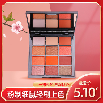 厂家直供十二色城市之光哑光眼影  防水防汗舞台妆珠光眼影盘oem