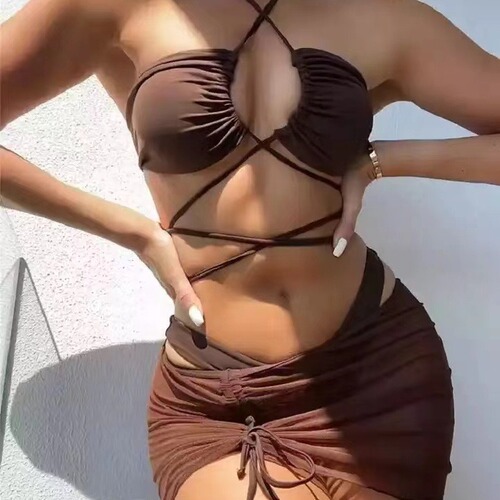 2024 New European and American Sexy Swimwear Set Pure Color Bikini Swimwear Fashion Swimwear Wholesale Bikini 