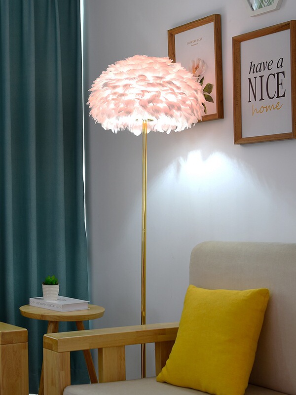 Modern Simple Feather Table Lamp Floor Lamp Nordic Bedroom Table Lamp Light Luxury Ins Girl Princess Internet Celebrity Live Broadcast Station