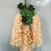 6 leaf champagne
