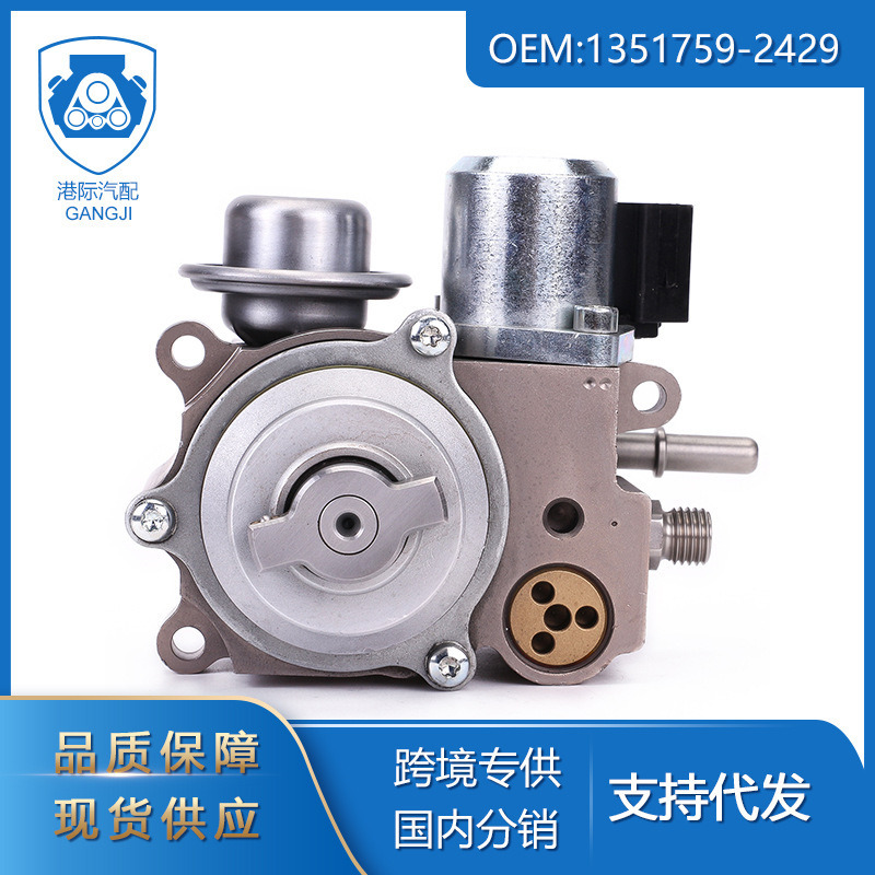 Hong Kong Cross-Border Exclusive Supply of High-Pressure Fuel Pump Oe1351759-2429 Suitable for Bmw N18 Car Parts