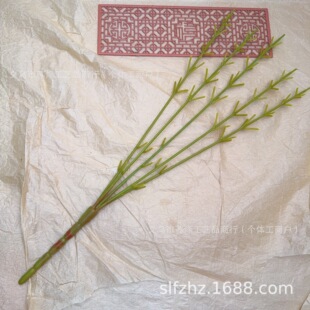 5�^90Ŀ48cm�S�����l�U֦���U����ֲ��õ���}�Q�Ɍ����U