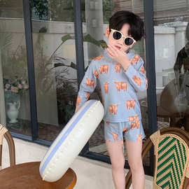 新款儿童泳衣中小童男宝宝卡通韩版牦牛分体防晒速干沙滩夏季游泳