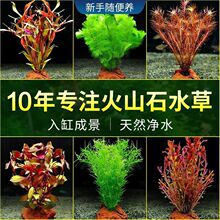 �������B��ɽʯˮ��������ֲ��o���ɰ��������ˮ�ݴ�ȫ���ˮ��