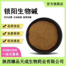 锁阳生物碱食品级原料锁阳提取物锁阳碱含鞣质三萜皂甙现货包邮