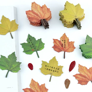 Maple leaf, sticker, base realistic note on wall