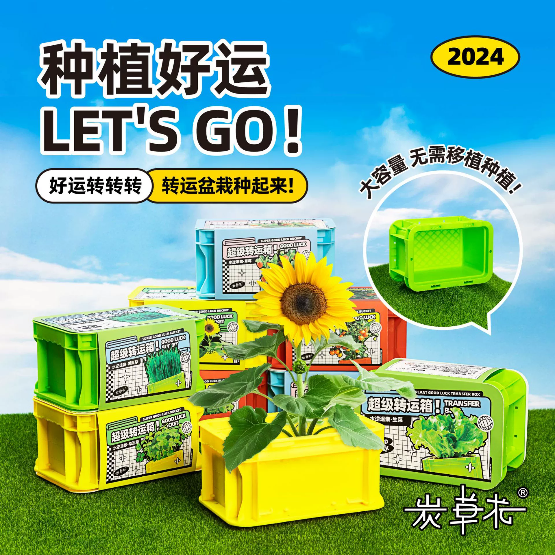 Детская посадка Маленькие зеленые растения в горшках Игрушки для наблюдения Настольные растения в горшках Слепая коробка Цветы Комнатные растения Мята