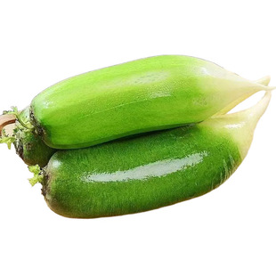 ���ɳ�C�}���a��ֱ�lˮ���}����S���]���rˮ���߲��}��һ�����l