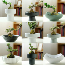 ���Ωɽ�廨�������մ����Ѱ���ľ̦�\���������P�������l�S��