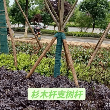 Спинные столбы и сосновые сваи высоковольтная линия защиты ландшафтного дизайна