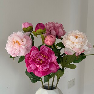 �羳���N�´����P��ĵ�����滨Ʒ�|؛ԴԴ�^���S���lܛ�b��c����