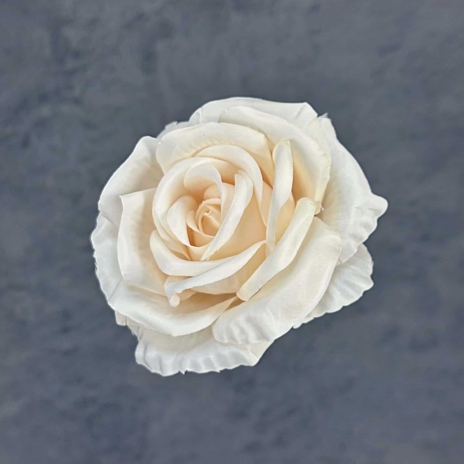 Franela artificial flor Rosa cabeza ramillete rojo boda flor pared tiro apoyos flor artificial arco flor artificial al por mayor