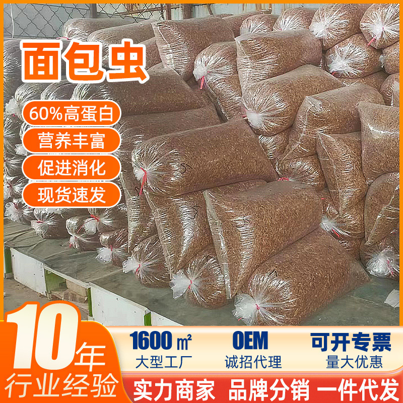 Wholesale Mealworms, Dried Yellow Mealworms, Direct from the Manufacturer, Pet Food, Hamster Snacks, Fish Food, Cat Food, Turtle Food Wholesale Mealworms, Dried Yellow Mealworms, Direct from the Manufacturer, Pet Food, Hamster Snacks, Fish Food, Cat Food, Turtle Food