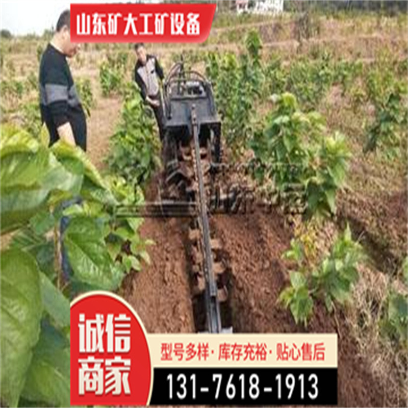 起垄机 草莓***开沟机 便宜小型机厂家批发挖掘机械矿大大型液压0