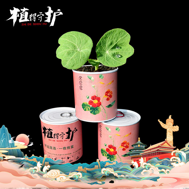 Planting canned pots and green plants for kindergarten children and…