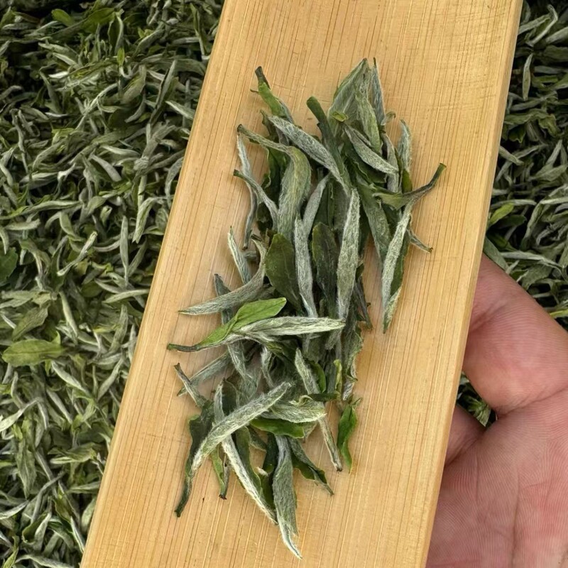 2025 Fuding Spring Tea White Tea One Bud One Leaf Premium Peony King Loose High Mountain Tea Floral Fragrance White Tea 500g