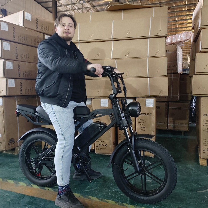 Dirtebike Electric Beach Snow 20inch Fat Tire Off-Road New Retro 520 Lithium Electric Assist Bicycle