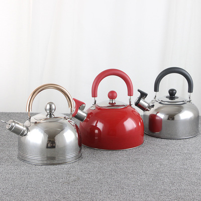 外贸货源不锈钢茶水壶 电磁炉适用鸣音平底壶 kettle半球形烧水壶