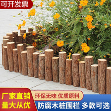 ľ�řڎ�Ƥɼľԭľ�����ڑ����ػh�ʷ������@ͥԺ���@�b[��