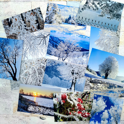 霧凇奇景明信片東北風光吉林黑龍江雪景森林美景15張嵩厚影像卡