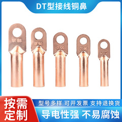 国家標準銅ノーズ卸売銅端子台錫メッキワイヤーノーズ DT-50 ケーブル銅線耳カスタム穴修正