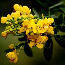 QӷNșɢbRQg~QپGݛQo¹ľN